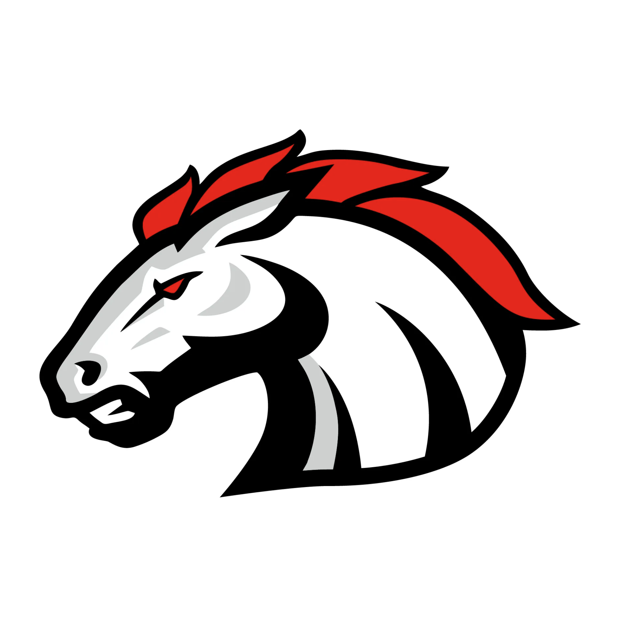 Aschaffenburg Stallions