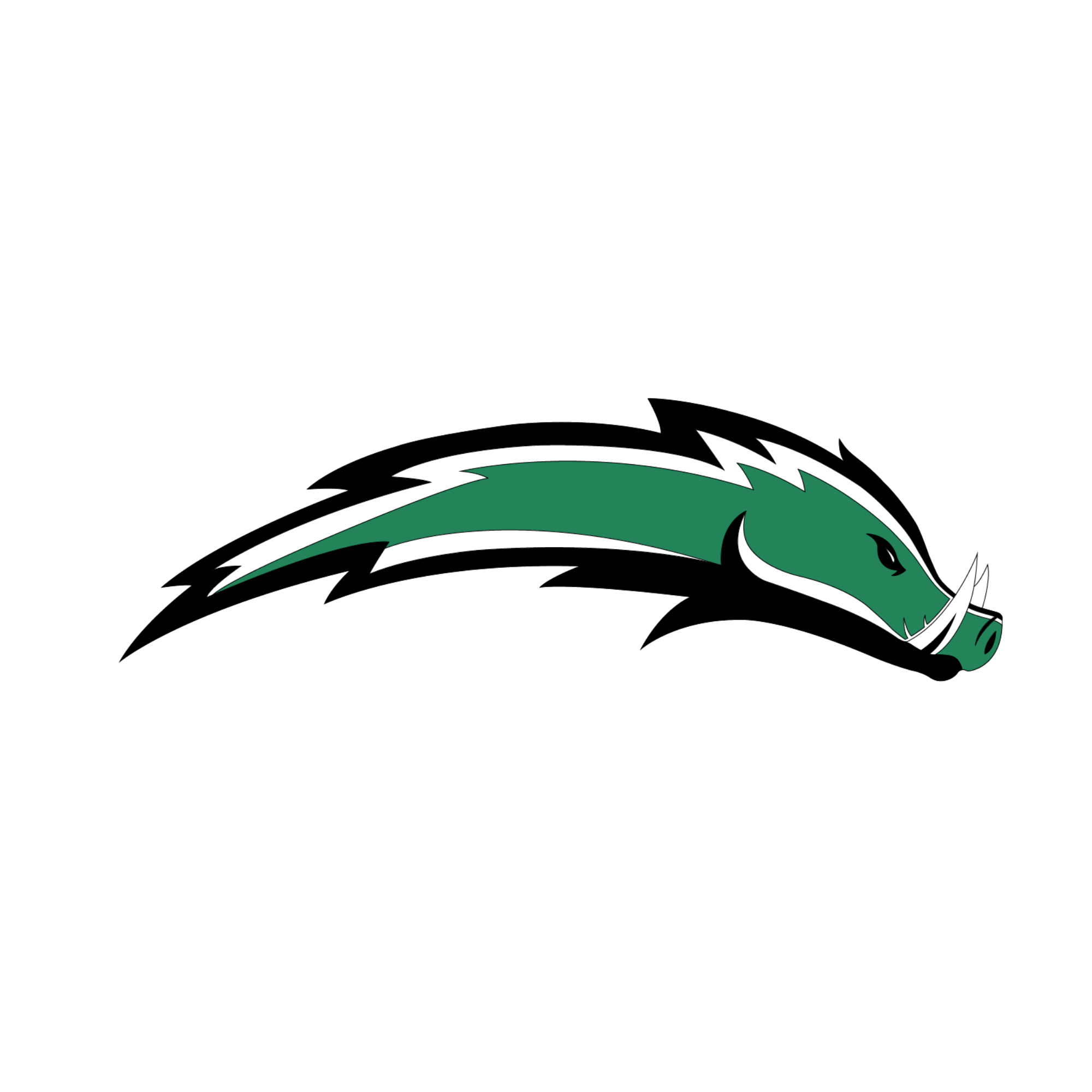 Schweinfurt Chargers