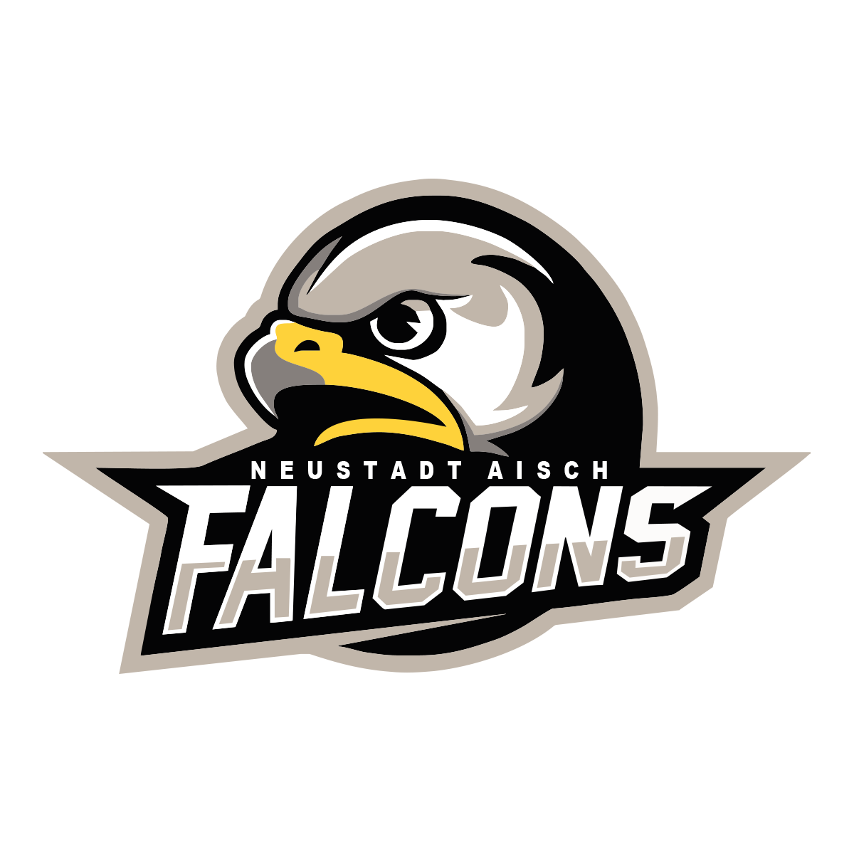 Neustadt Falcons